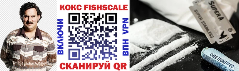 продажа наркотиков  гидра зеркало  Кокаин FishScale  Заводоуковск 