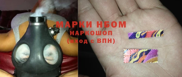 прущие грибы Струнино