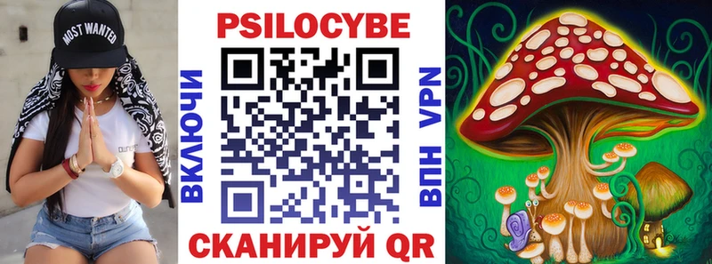 Псилоцибиновые грибы Psilocybine cubensis  Заводоуковск 